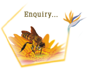 Little Bee Impex - Bulk Honey Suppliers
